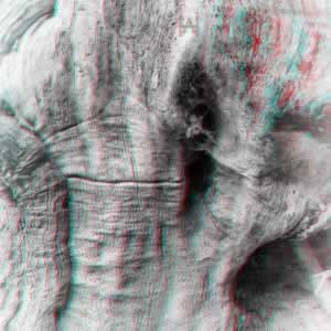 3D-Fotografie in Rot/Cyan - Elefantenhaut