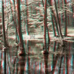 3D-Fotografie in Rot/Cyan - Stille Wasser