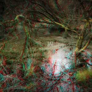 3D-Fotografie in Rot/Cyan - Der uralte Teich